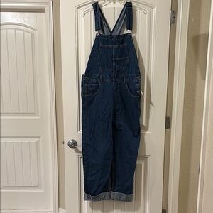 We the Free Ziggy Denim Overalls Free People